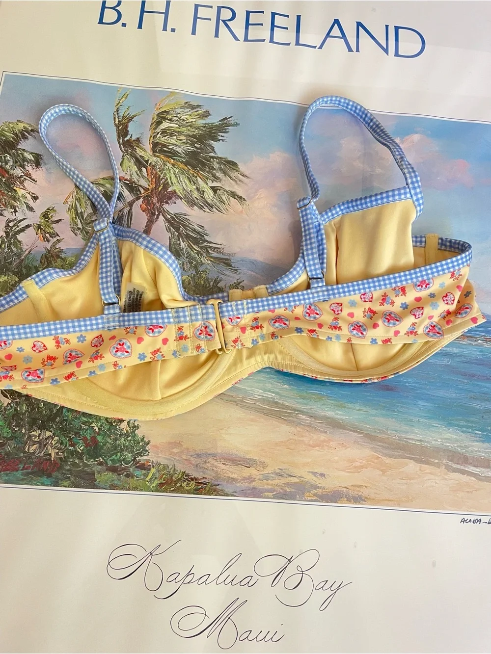Frankie’s Bikinis Pink Victoria’s Secret Golden Hour Floral Gingham Bikini Top